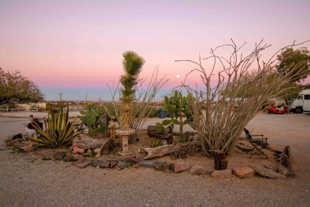 Joshua Tree Ranch House Motel - Downtown - Room #3 外观 照片